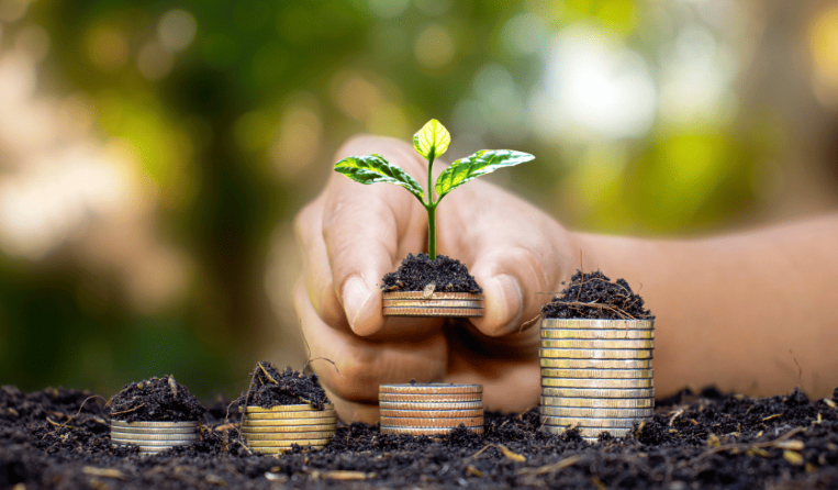 Why Financial Sustainability Starts with Strong Governance