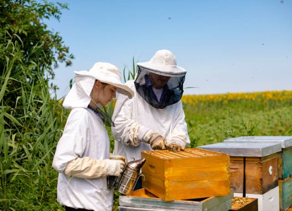 5 Ways Beekeeping Encourages Patience, Responsibility, and Environmental Awareness